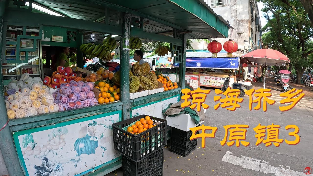 琼海市侨乡　中原镇3
