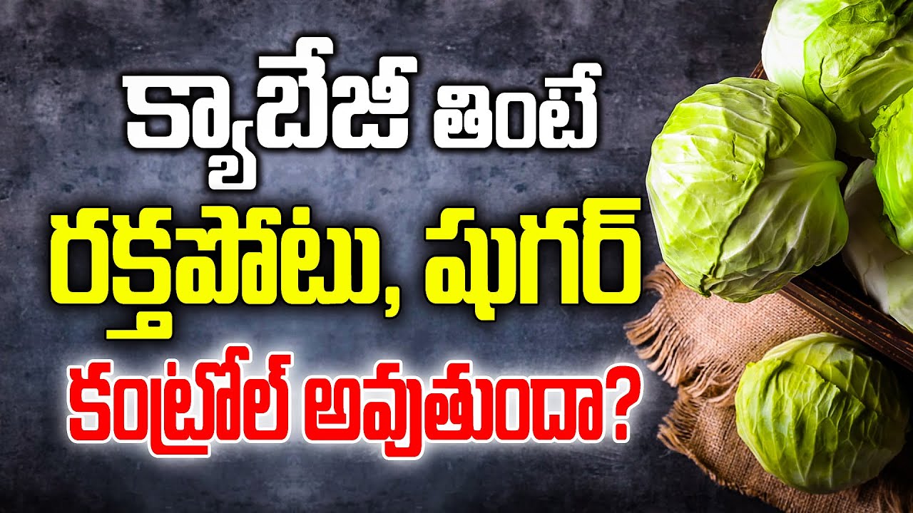 క్యాబేజీ మీ ఆరోగ్యానికి ఏడాది పొడవునా తోడు! Can eating cabbage control bp & sugar? What’s the truth?