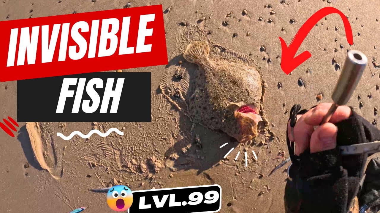 Invisible fish caught on spinning! Turbot - KING OF SEAFOOD