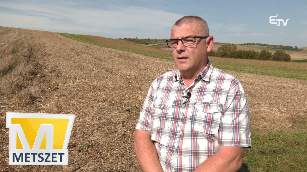 Olcsó búza, hamis méz – Metszet