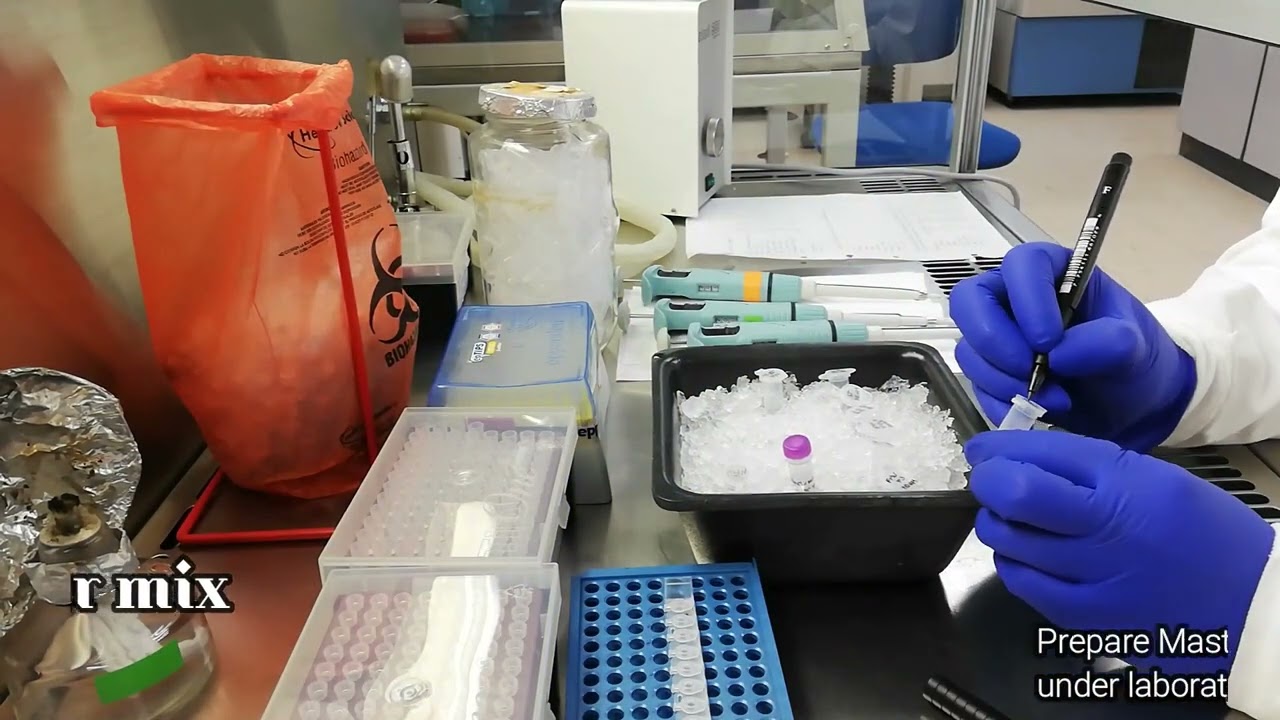 LAMP assay protocol for laboratory detection of Sweet potato viruses