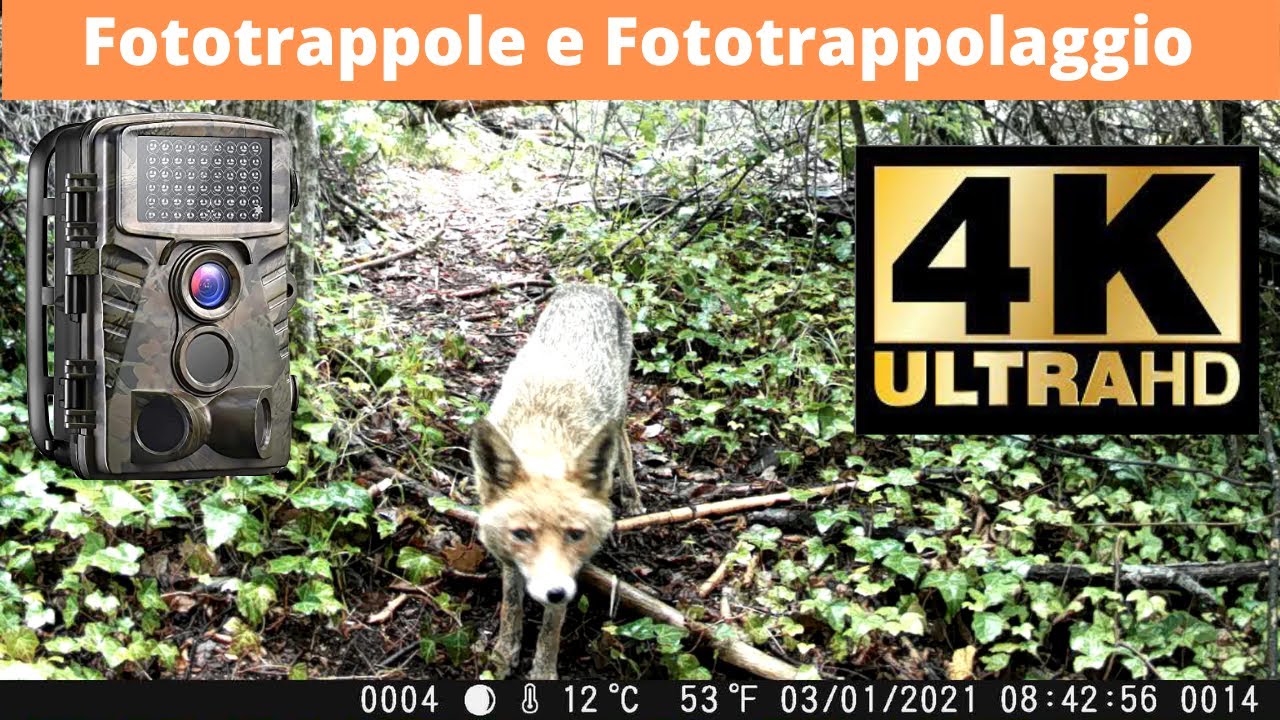 La Fototrappola Dsoon H8Wifi è un top di gamma? Scopriamolo insieme.