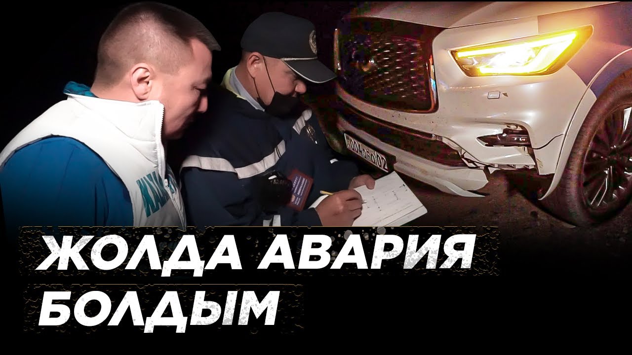 Авария. Жолда елік қағып кеттім... Страховка.