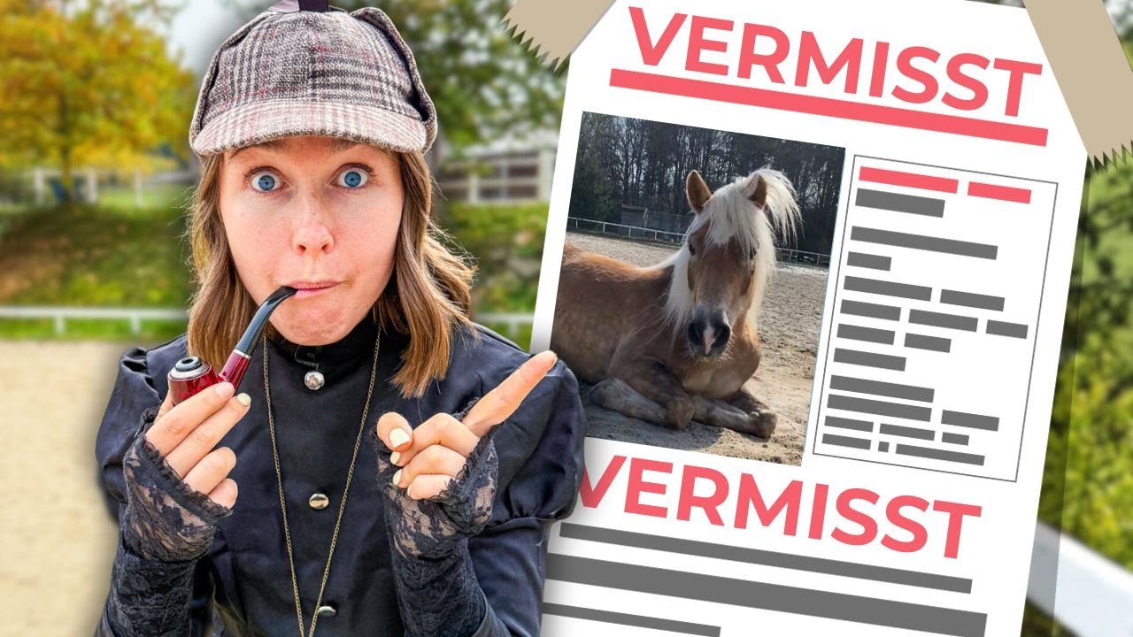 STALLKRIMI 🎃 Pferd verschwunden!