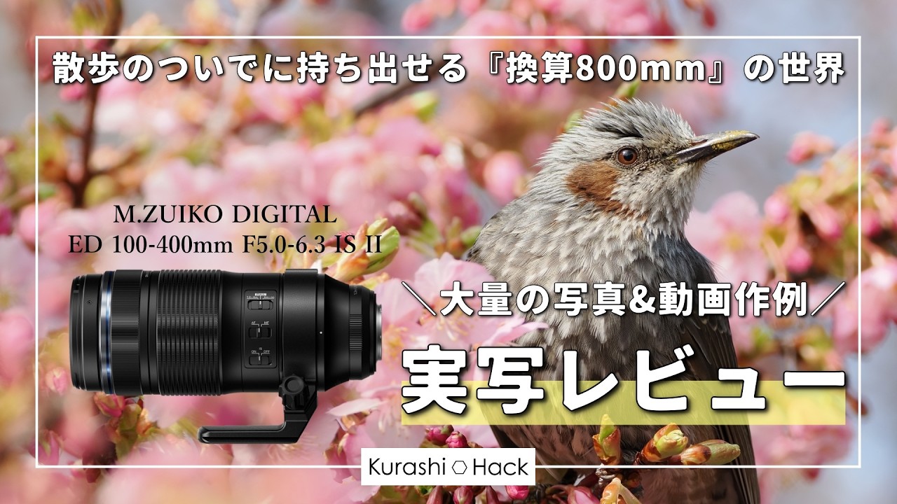 このレンズで野鳥撮影に沼りました。【OM SYSTEM M.ZUIKO DIGITAL ED 100-400mm F5.0-6.3 IS II】【実写レビュー】【作例】