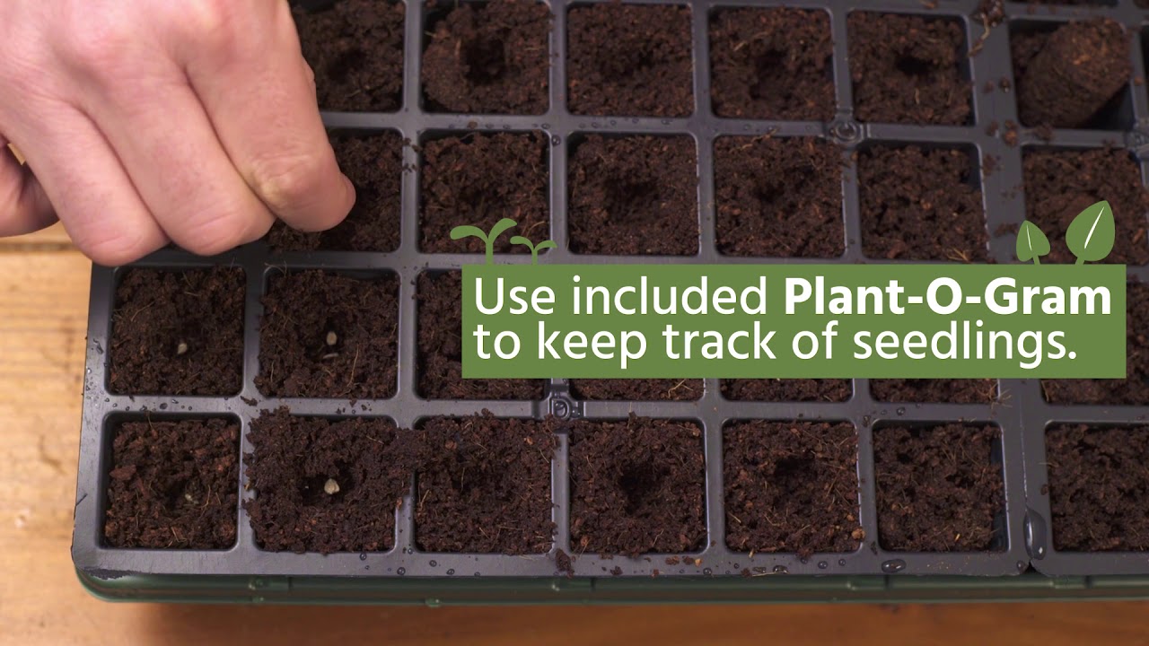 Quick Start Gardening Guide: Seed Starting (Full Version)