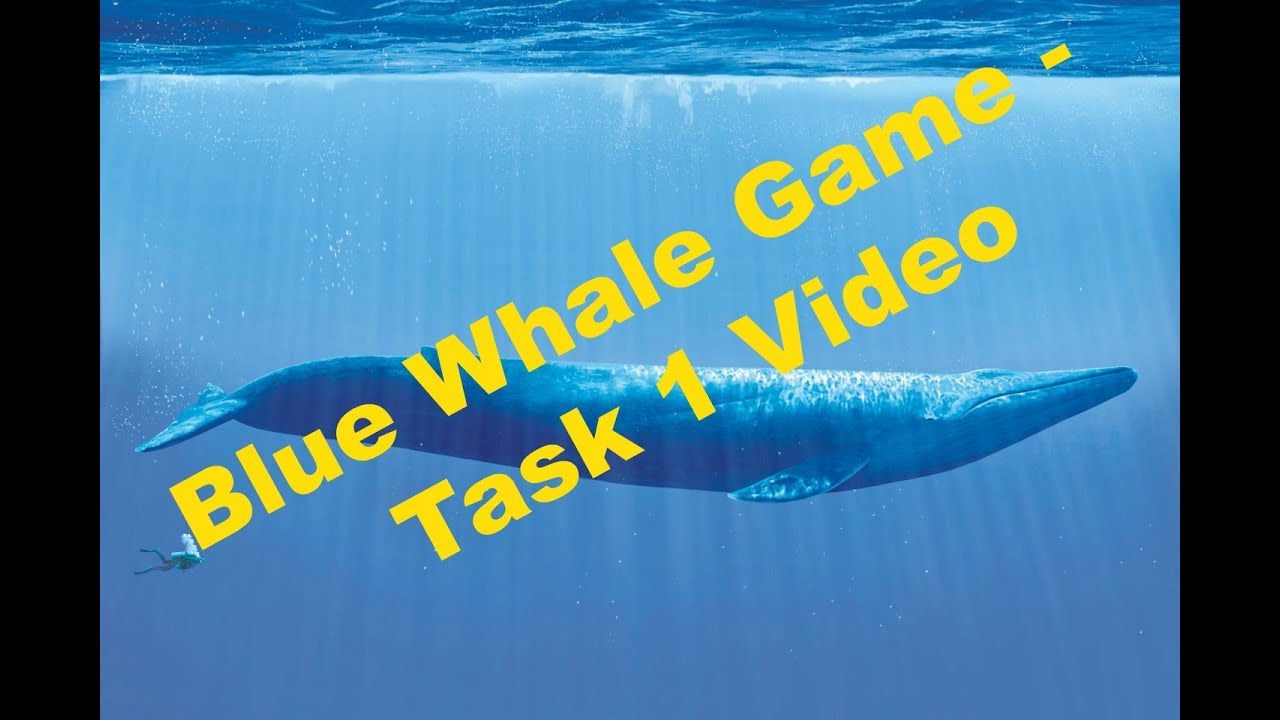 Blue Whale Game | Task 1 | Watch this Scary Video