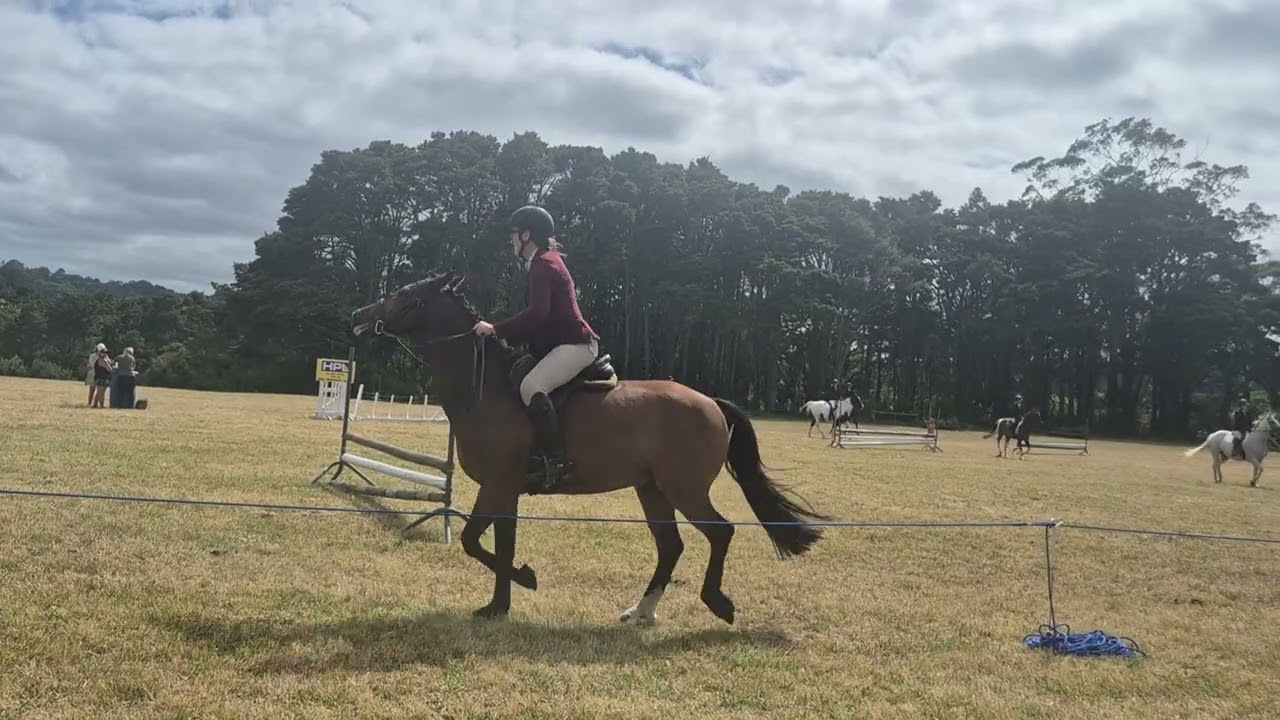 Leo - Paparoa Show 2026
