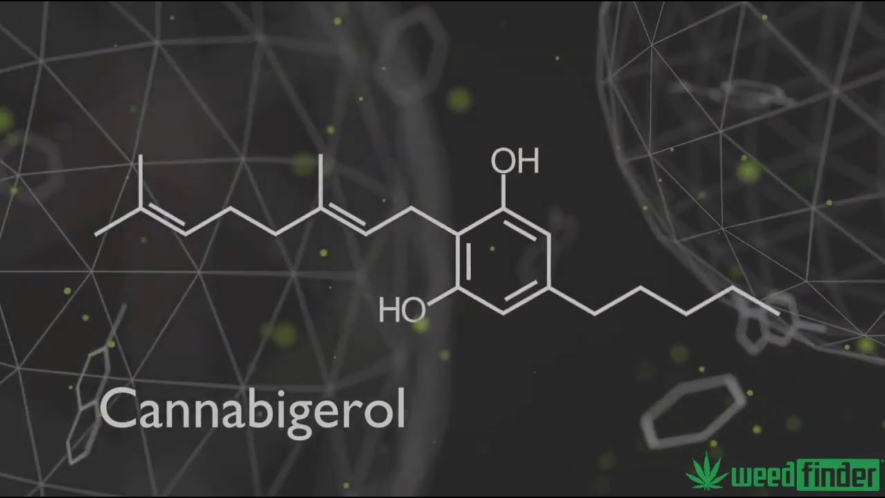 CBG - The Mother of Cannabinoids 💚