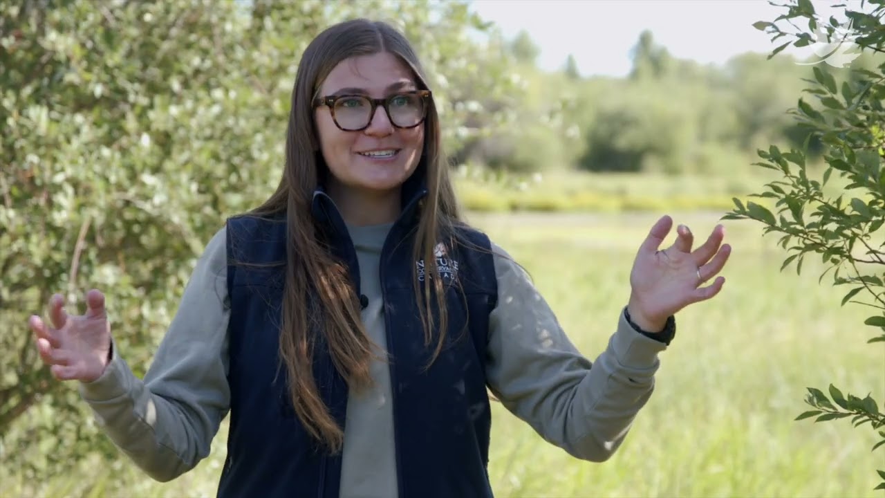 Land, Life and Legacy: Conservation in Alberta's Capital Region (Short Version)