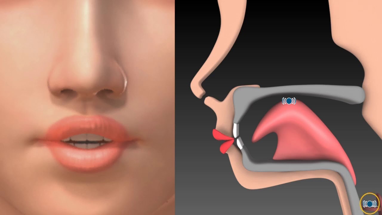 sound ɚ = ər part 1