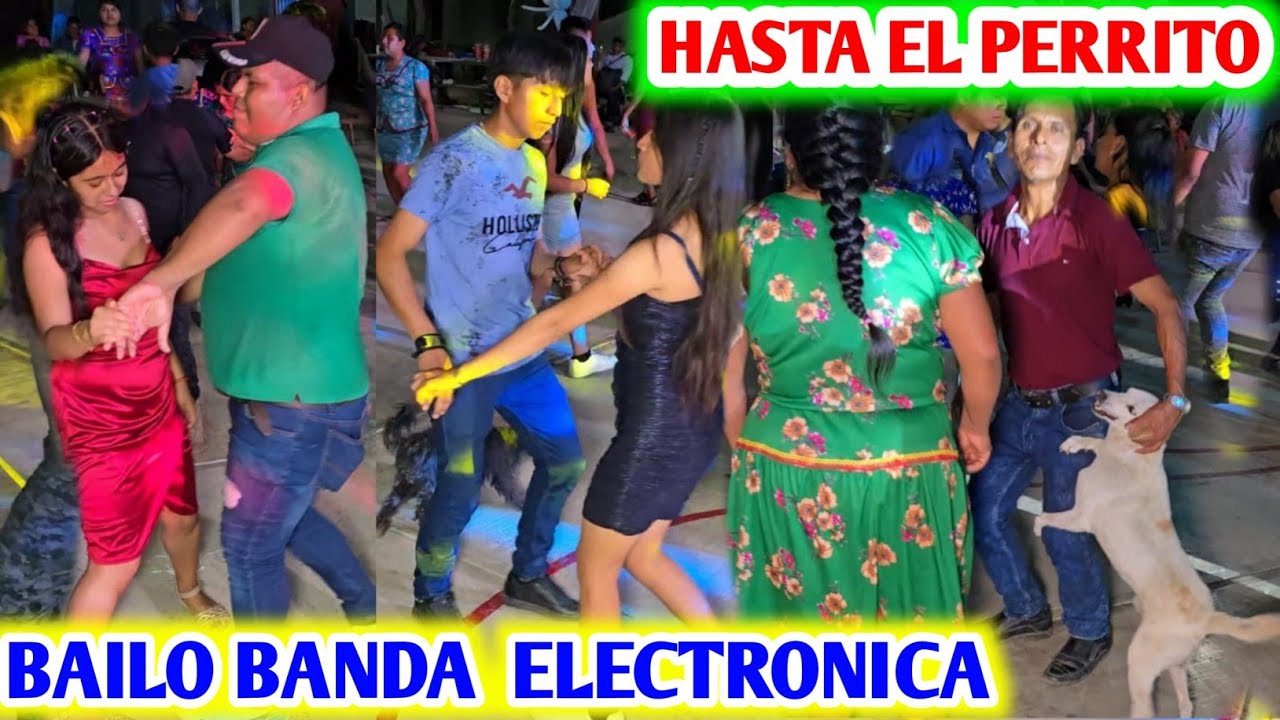 HASTA EL PERRITO BAILO BANDA ELECTRONICA CON GRUPO ADICCIÓN MUSICAL