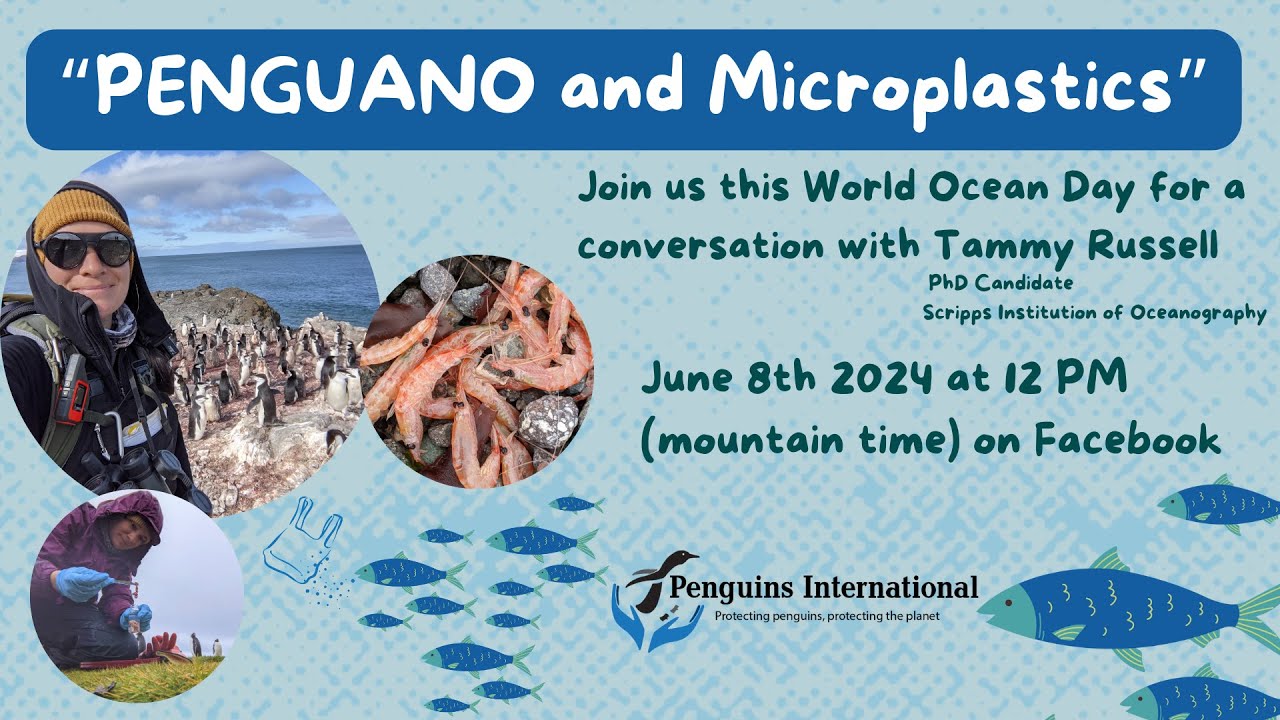 Microplastics and Penguin Poop with PhD Student Tammy Russell