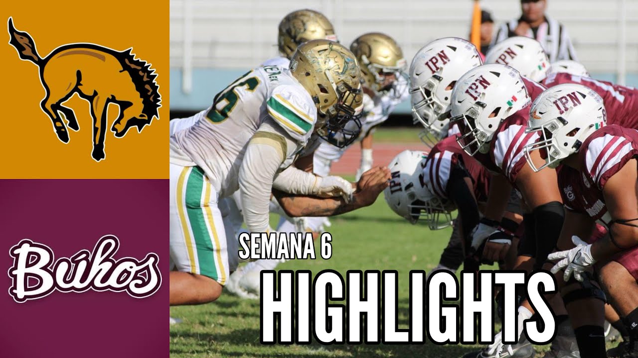 Búhos IPN vs Potros Salvajes UAEM (Highlights) | Semana 6 | Liga Mayor ONEFA 2024.