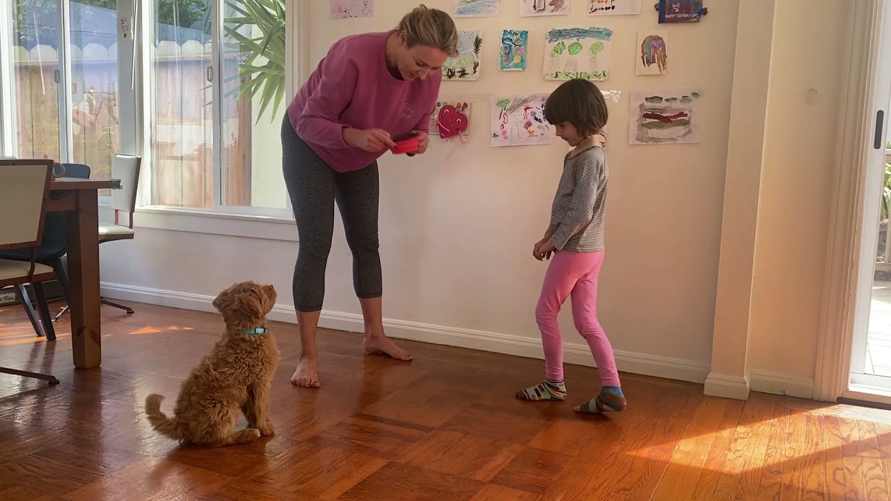 Good things come to dogs that sit and wait.