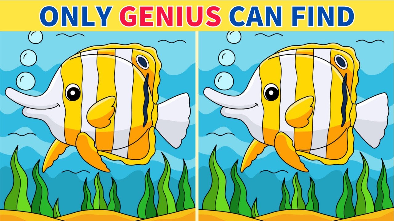 【Spot the difference】🚨Very Difficult brain exercise!! 3% genius can find the all differences!!