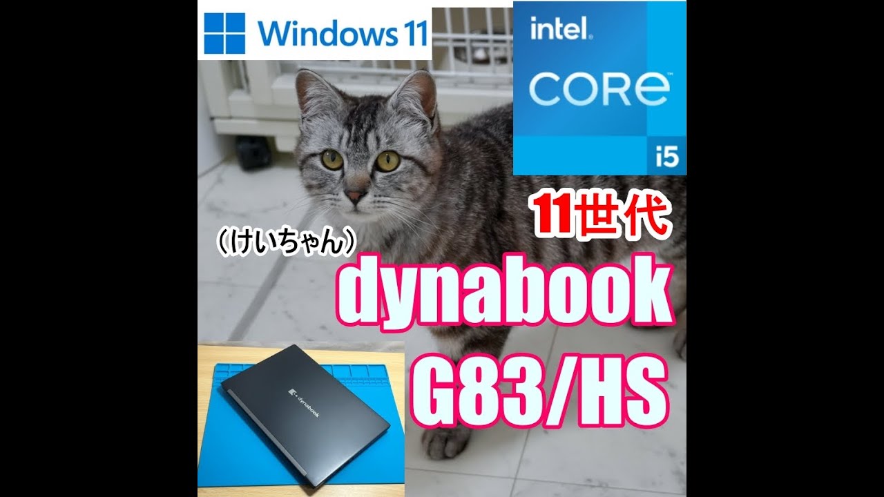 dynabookG83HS /Core i5-11世代 /  SSD 256GB  / メモリ16GB