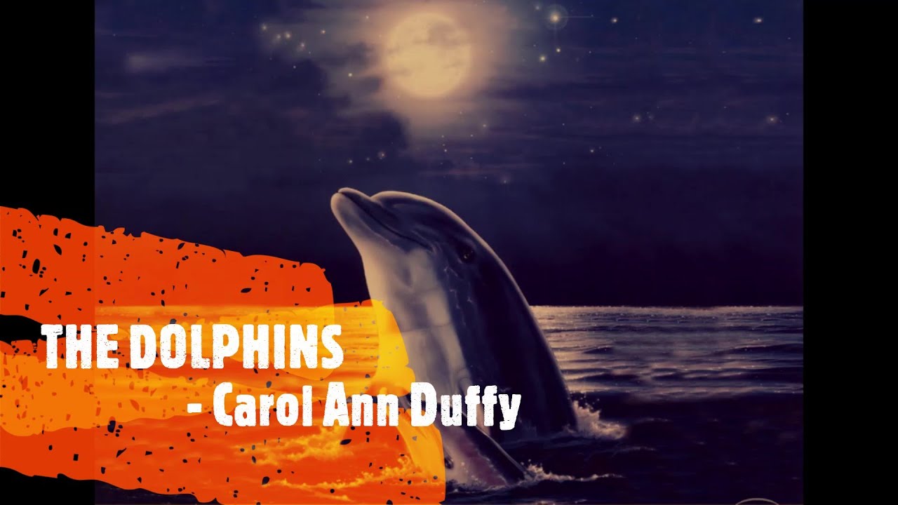 THE DOLPHINS - CAROL ANN DUFFY - EXPLANATION OF THE POEM - ISC ENGLISH - GRADE XI & XII