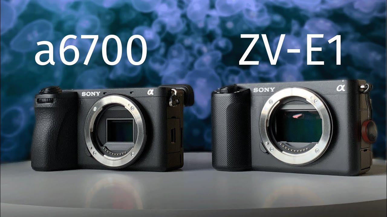 Sony a6700 vs ZV E1 and Why I use Both