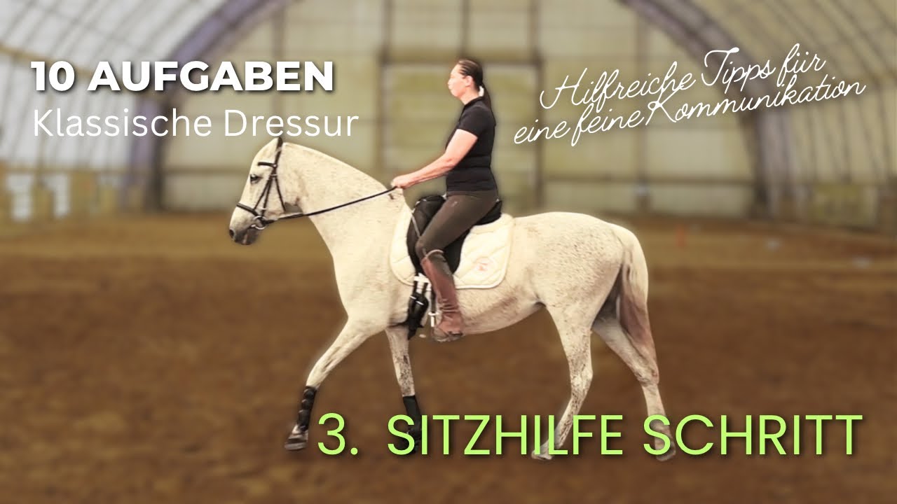 Pferde gesund reiten 🐴 3. Sitzhilfe Schritt. Hilfreiche Tipps  #pferde #reiten #schritt  #dressur