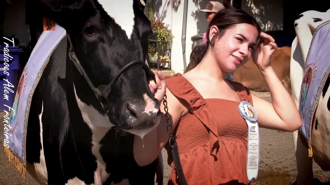 Bodo de Leite- Festa de Nossa Senhora dos Milagres em Gustine, 2025. Fernando Moniz Video