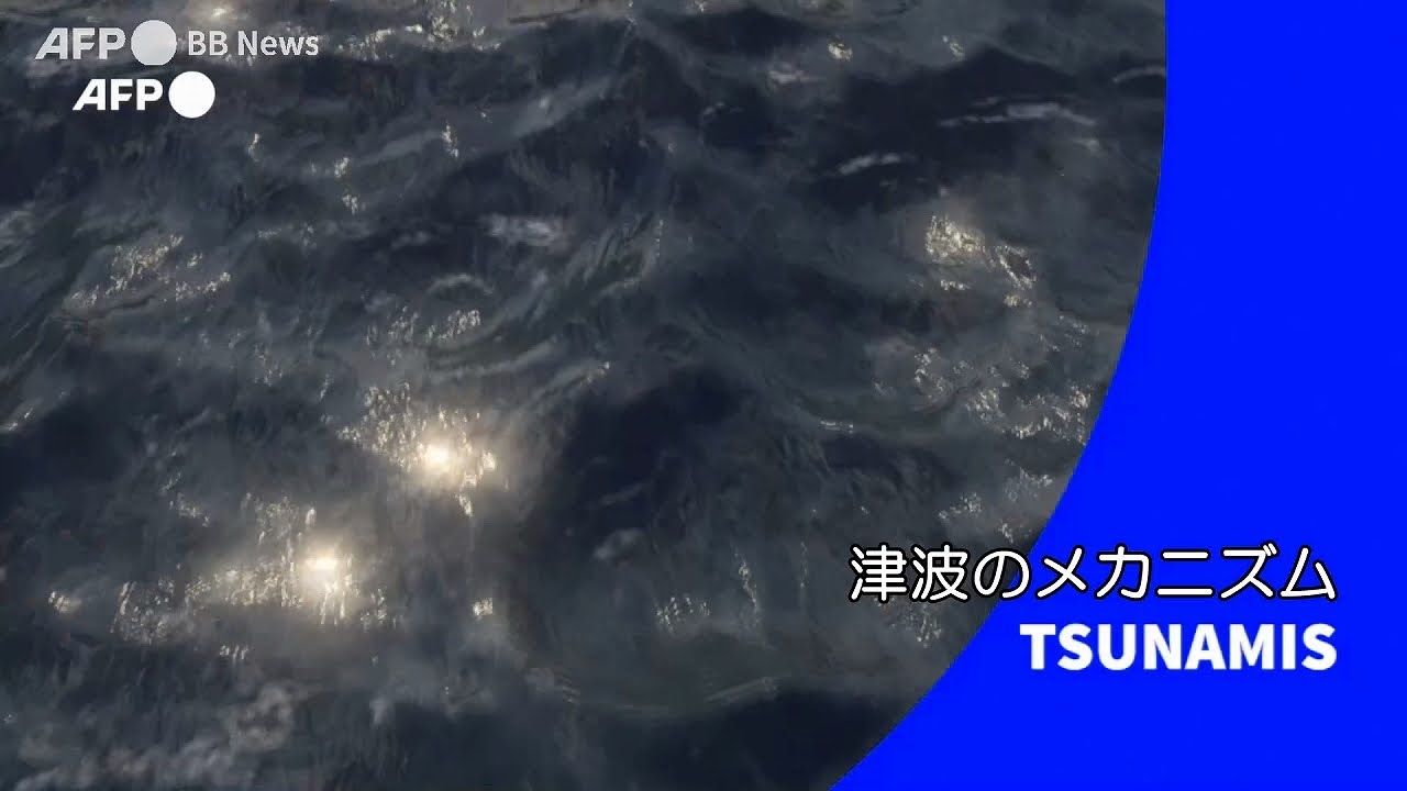 ビデオグラフィック：津波のメカニズム