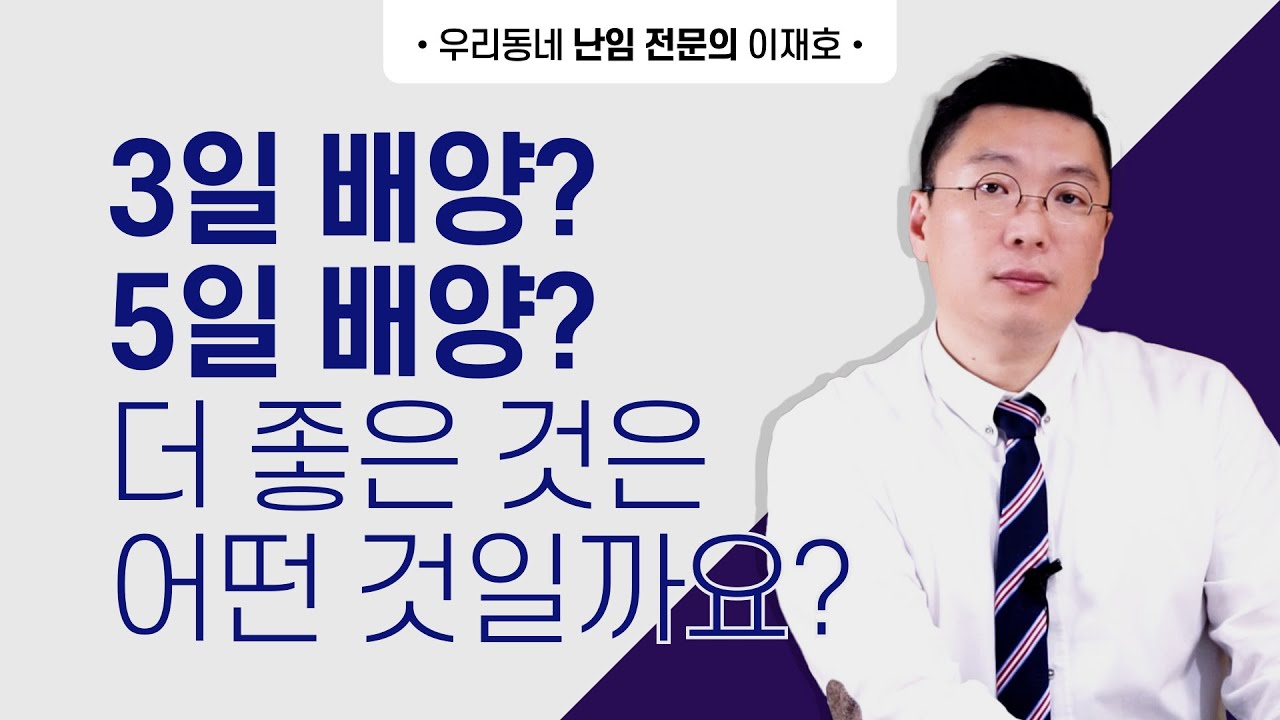 3일배양? 5일배양? 더 좋은 것은 어떤 것일까요?