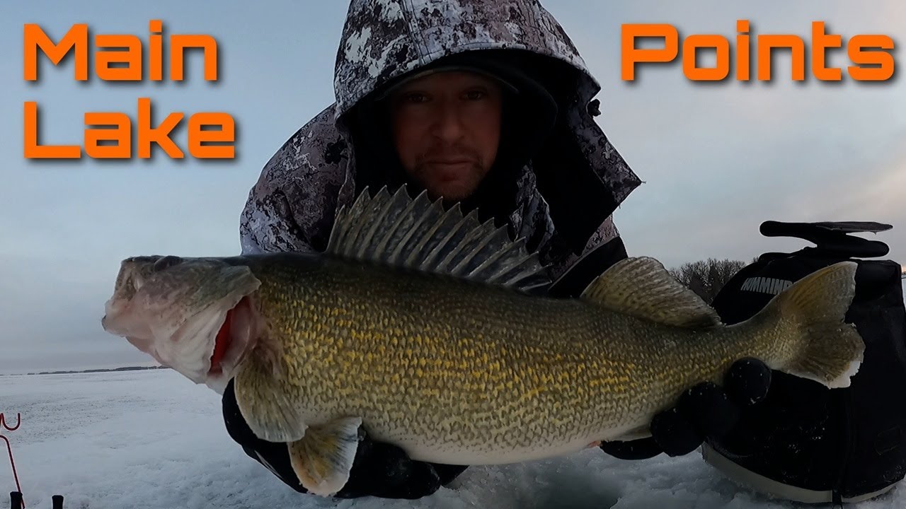 Aggressive Walleye Bite - Morning Ice Fishing