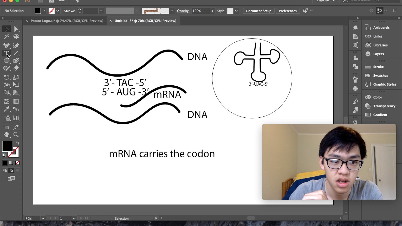 Anticodons and Codons