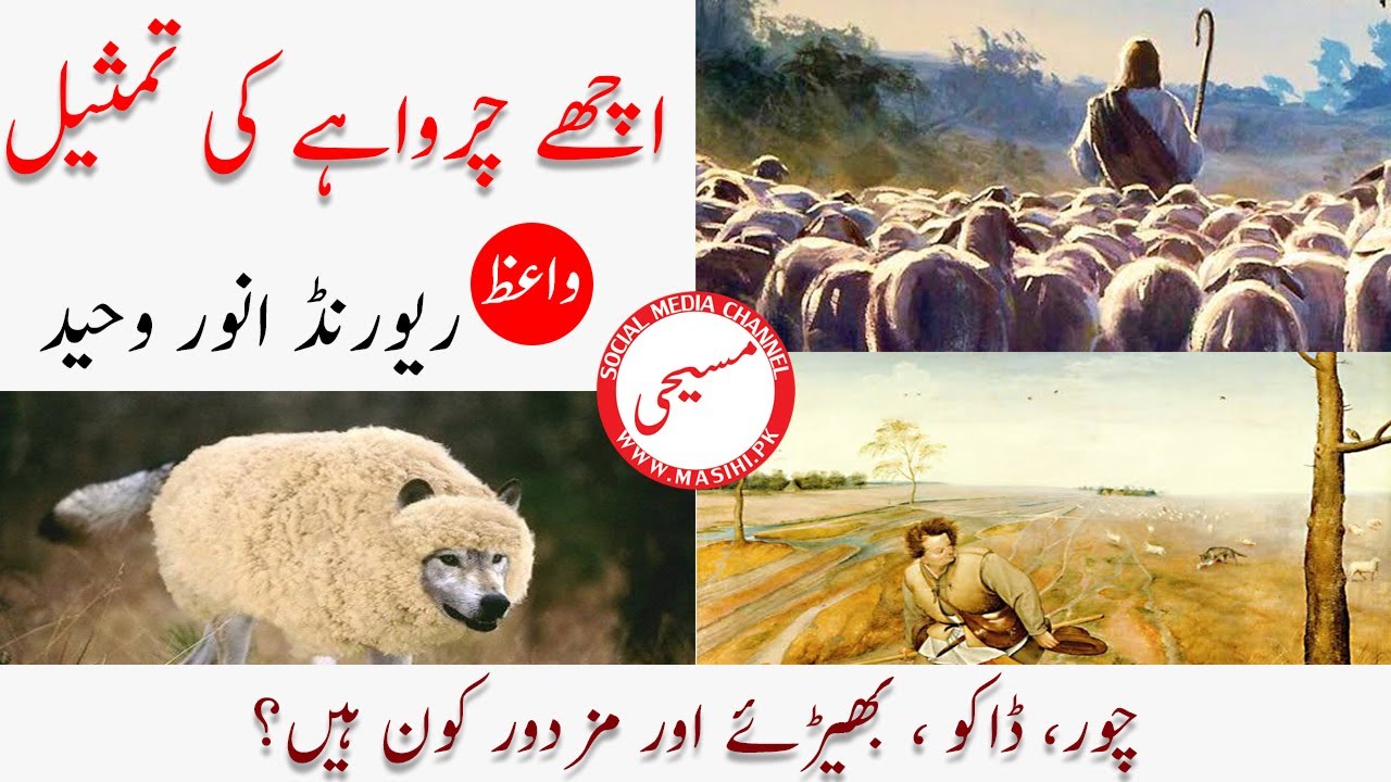 Difference between The good Shepherd & thief-robber-hired hand-wolf | Urdu/Hindi