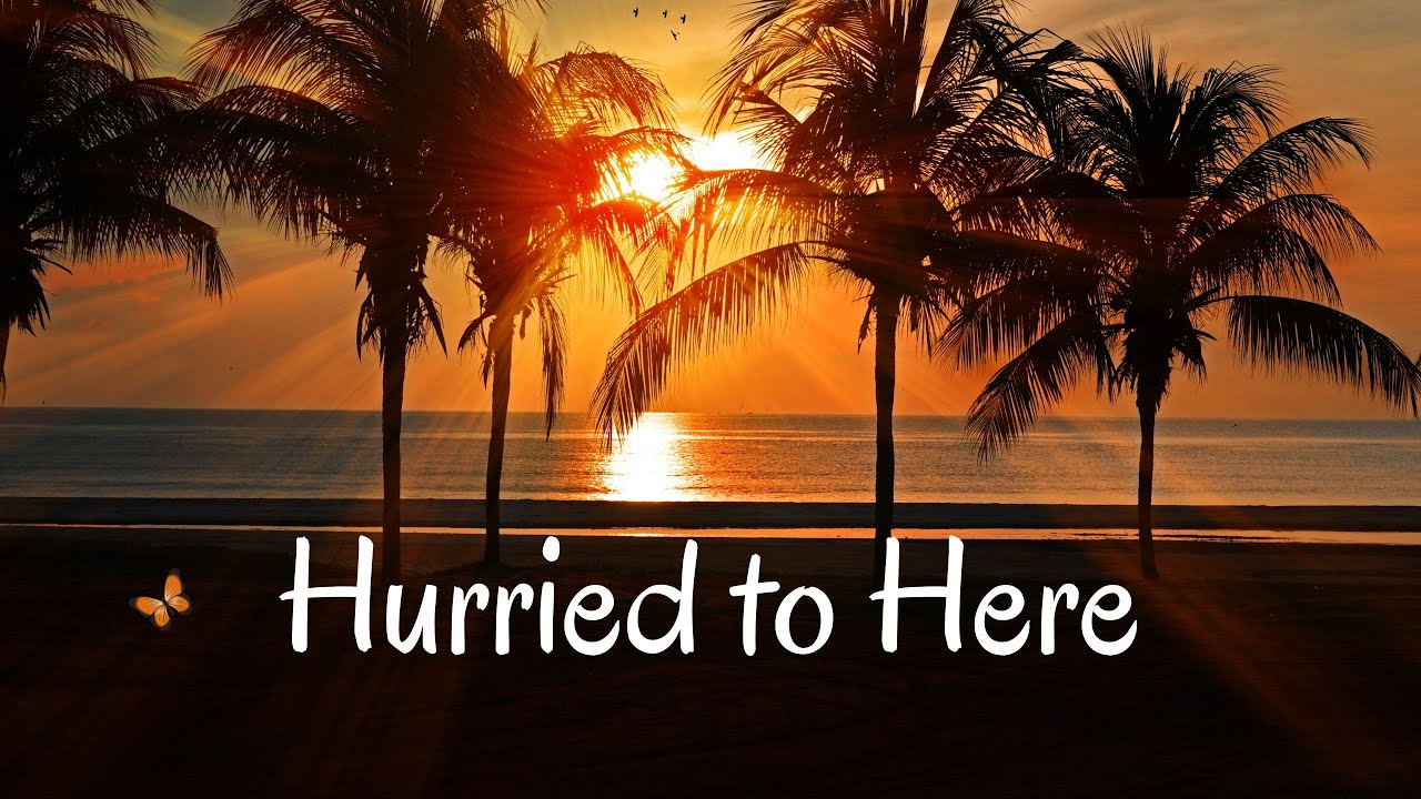 Hurried to Here | Guided Meditation Practice with Andrea Wachter