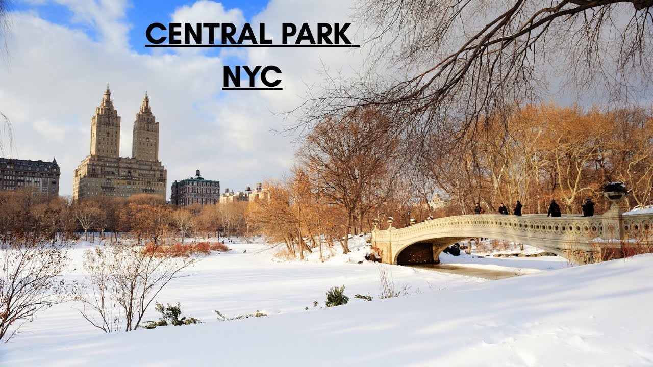 An Afternoon Walk Through Central Park [New York City]