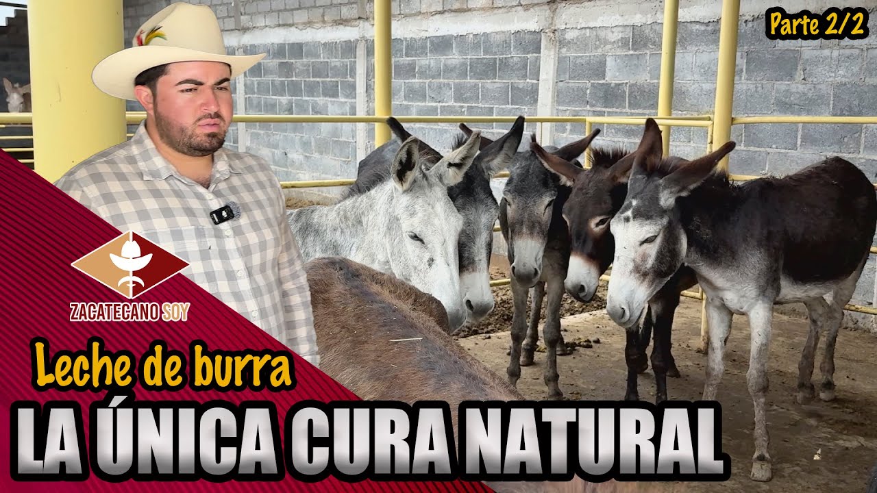 ACABA CON TUS MALES con leche de burra