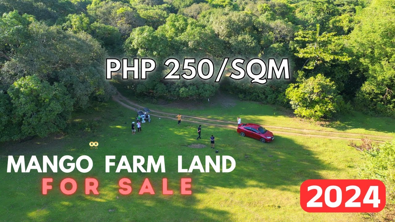 LFS 111 | 🌳 Tropical Paradise Awaits! Mango Farm Lot for Sale 2024 &ndash; Your Slice of Agri-Haven 🥭🏡