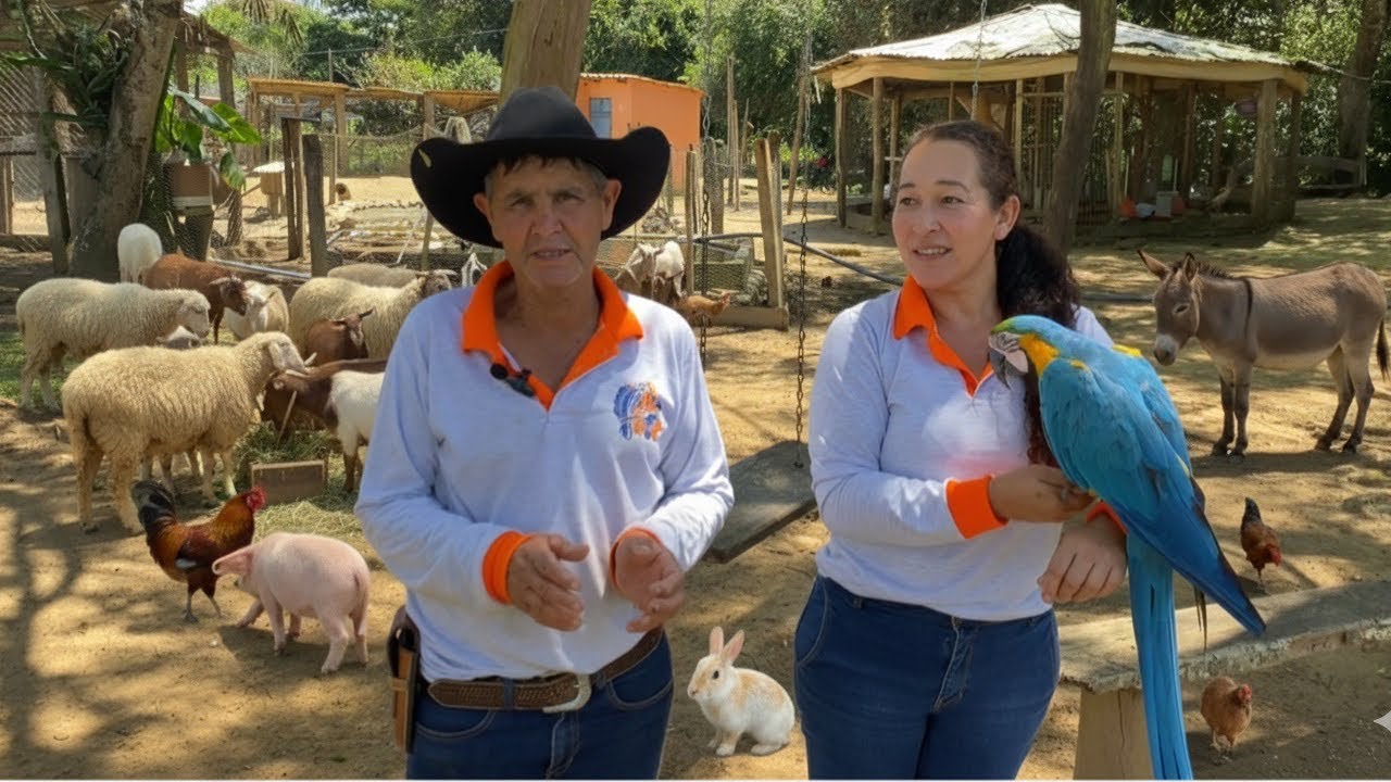 SÃO TANTOS ANIMAIS QUE NOSSO SÍTIO VIROU UM MINI ZOOLÓGICO