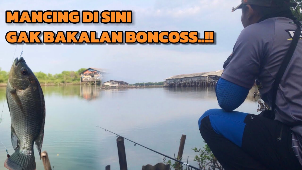 SPOT MANCING TAMBAK BANDENG AMBULU,LOSARI,CIREBON