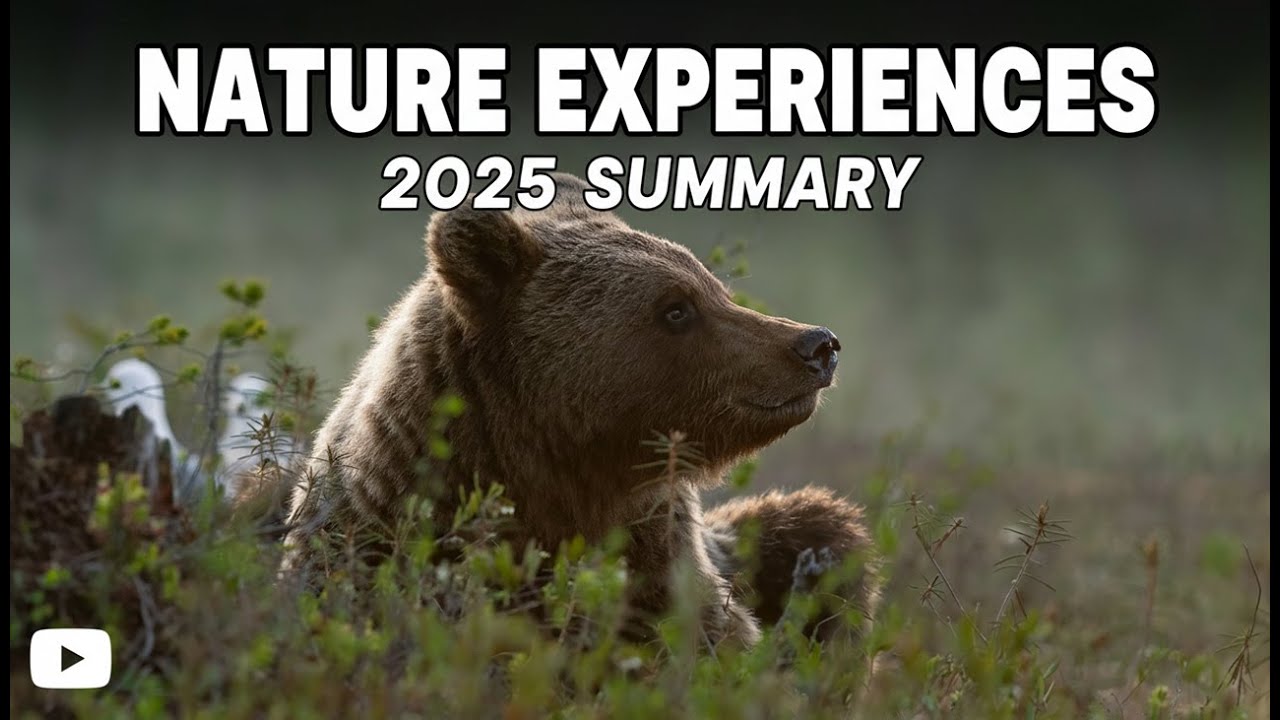 2025 - A year of nature experiences