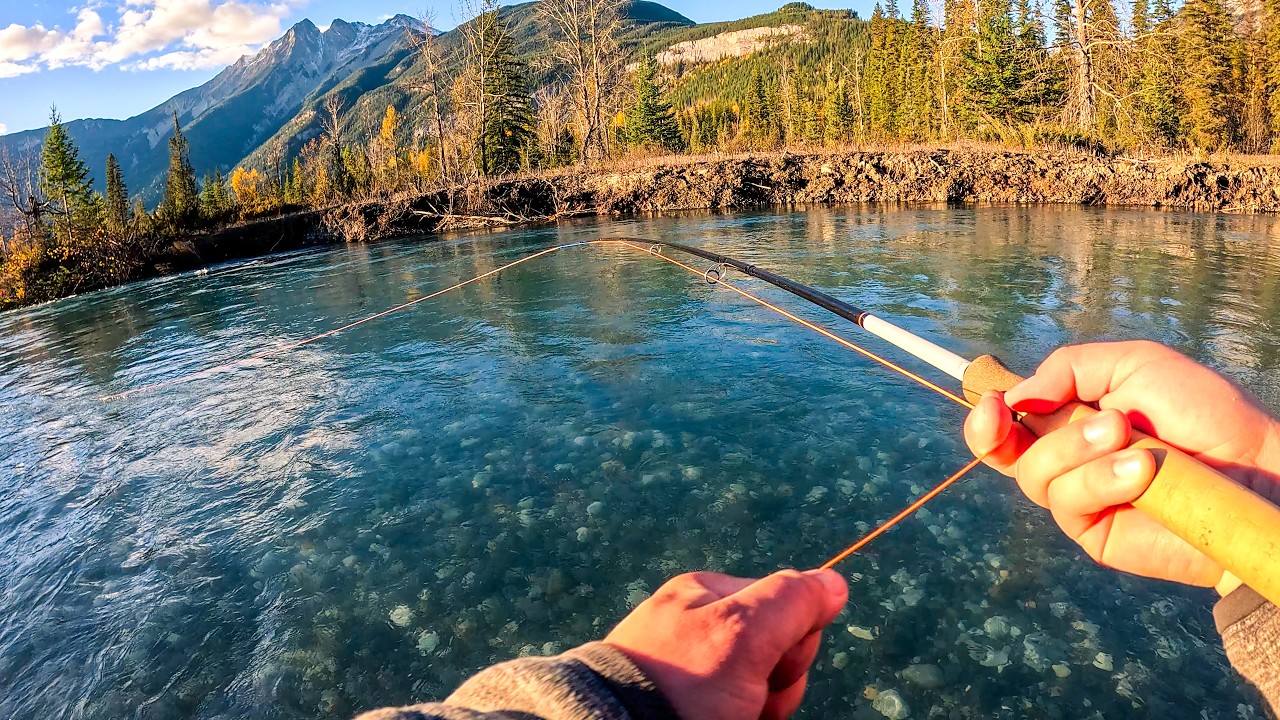 Fly Fishing a Canadian Glacial Stream LOADED With Trout