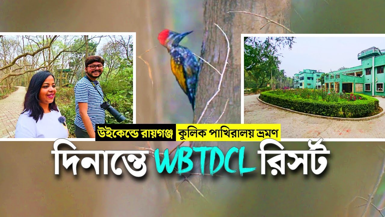 Raiganj Tourist Lodge ↑ WBTDCL Dinantey Tourism Property ↑ Kulik Bird Sanctuary Trip