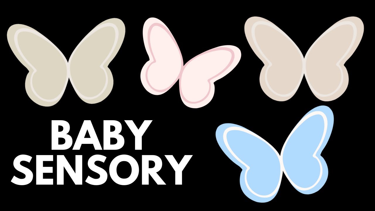 Classic Sensory Play 🦋 | Aesthetic Butterfly Visuals | Calm Baby Music & Shapes | 1 HOUR