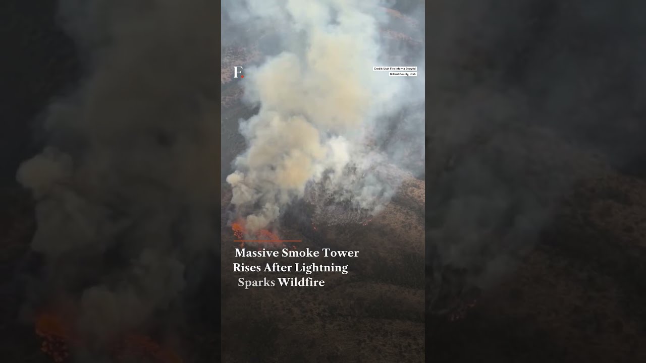 Massive Smoke Tower Rises After Lightning Sparks Wildfire