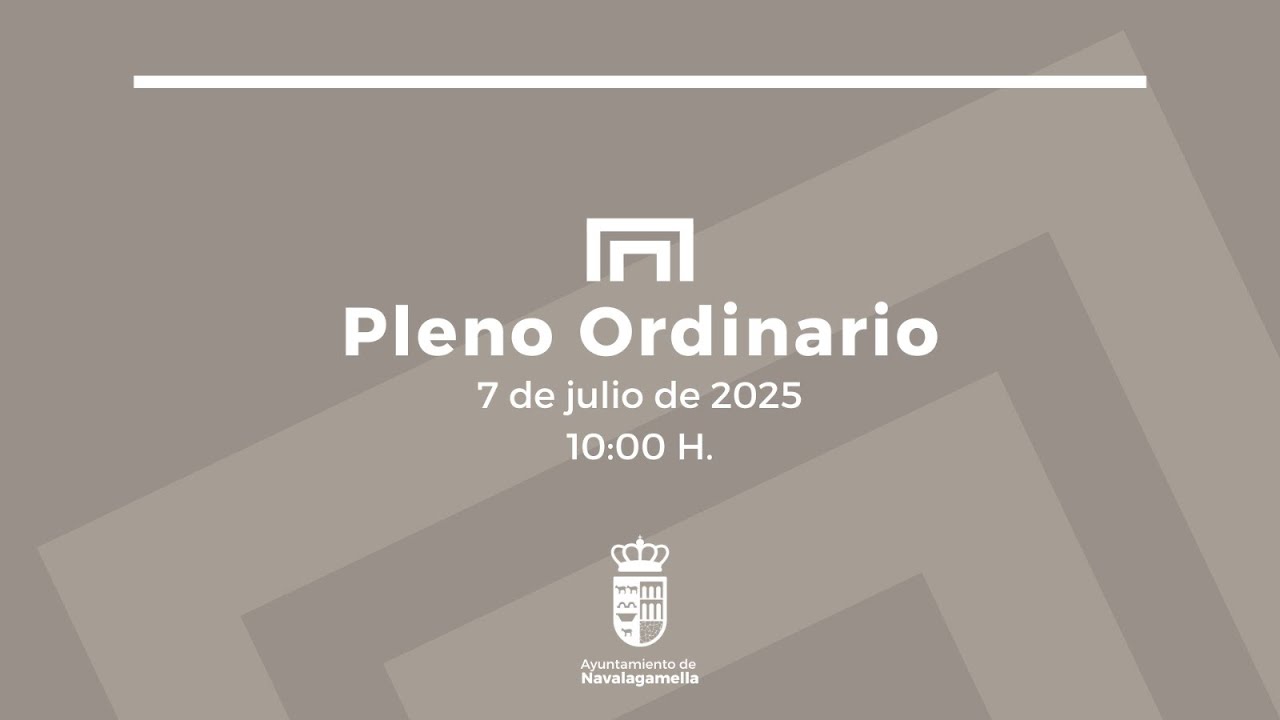PLENO ORDINARIO  - 07/07/2025