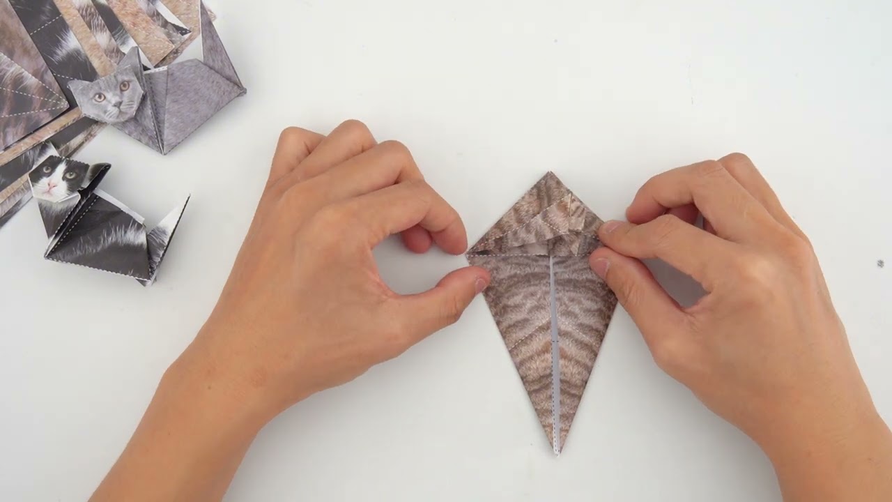 Folding Steps of Cat Origami