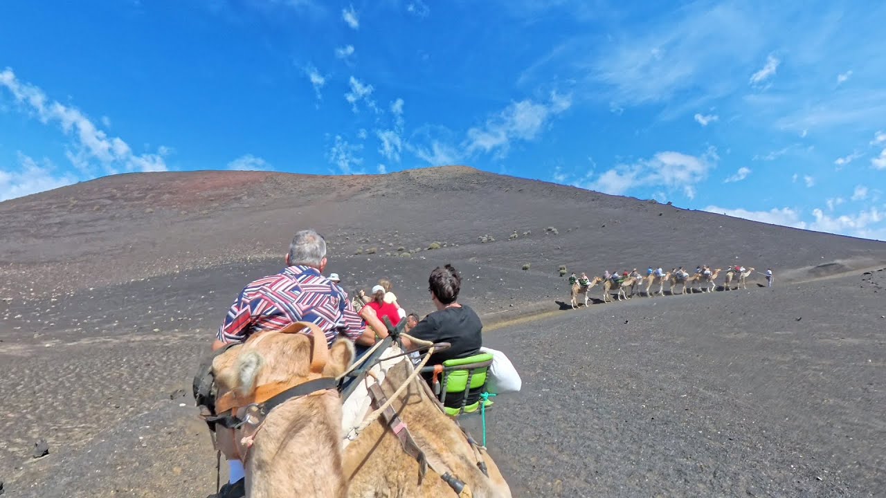 Camel Ride Lanzarote 2024