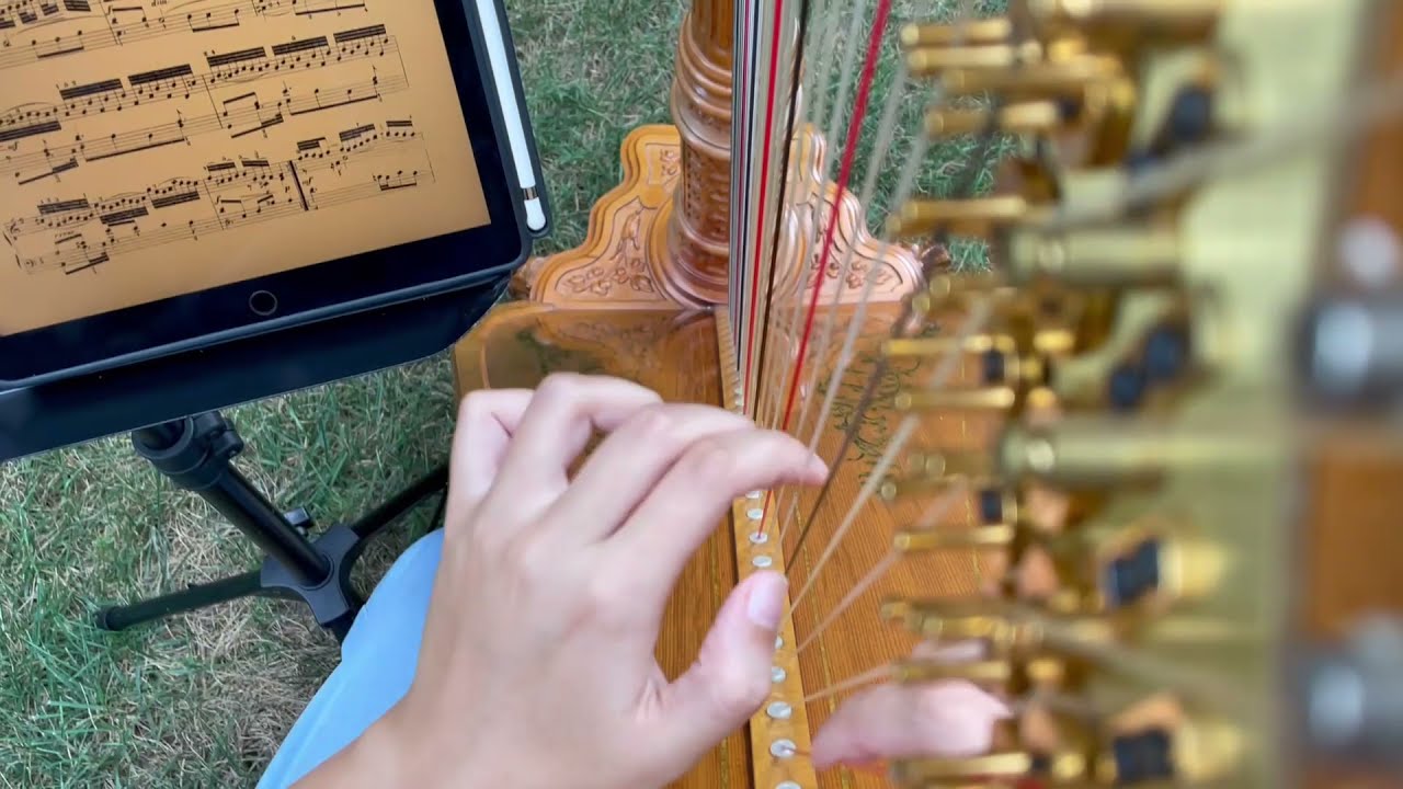 Beste Toparlak plays Bach - The Goldberg Variations, BMV 998