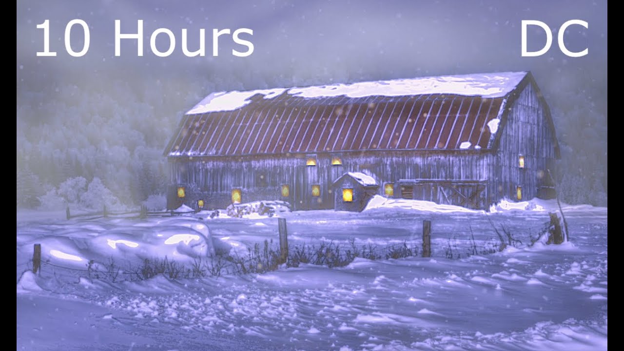 Foggy Winter Night at Old Barn | Howling Wind Sounds for Sleeping | Studying | Relaxing