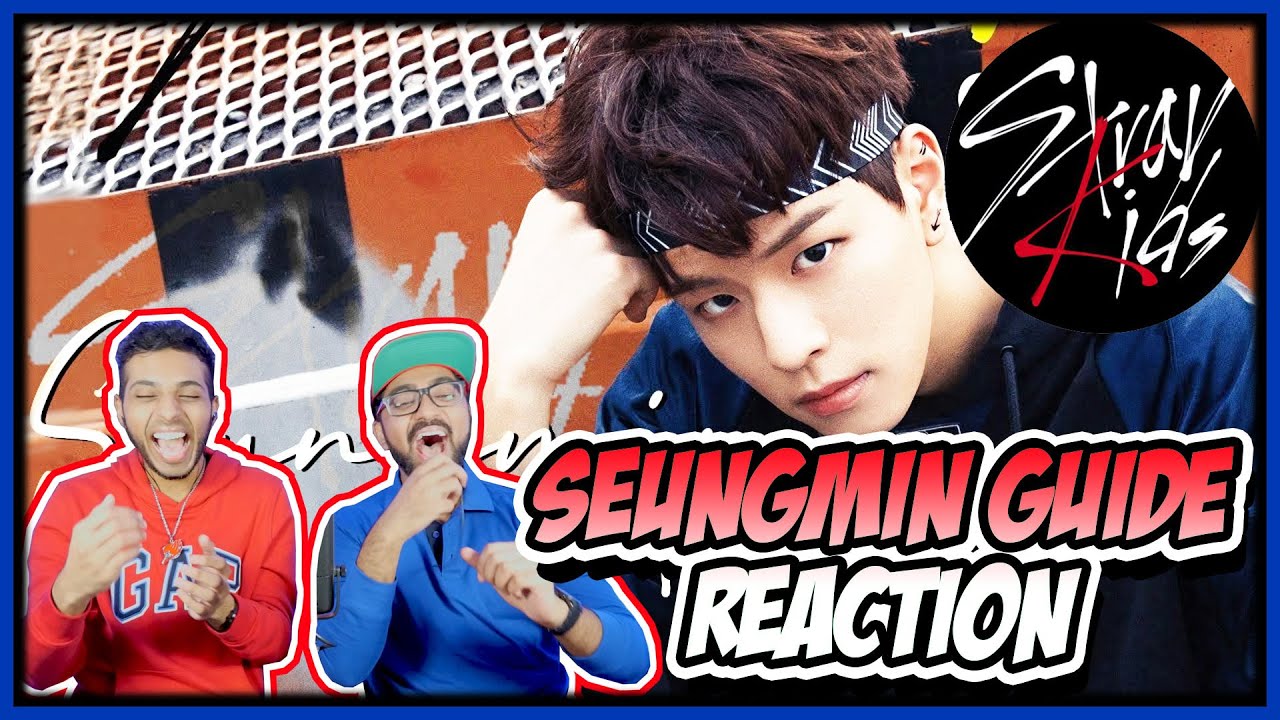 STRAY KIDS GUIDE - SEUNGMIN EDITION REACTION