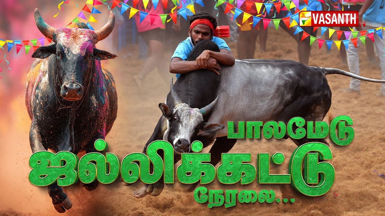 🔴LIVE: Madurai Palamedu Jallikattu 2026 | மதுரை பாலமேடு ஜல்லிக்கட்டு நேரலை | Pongal 2026 |Vasanth TV