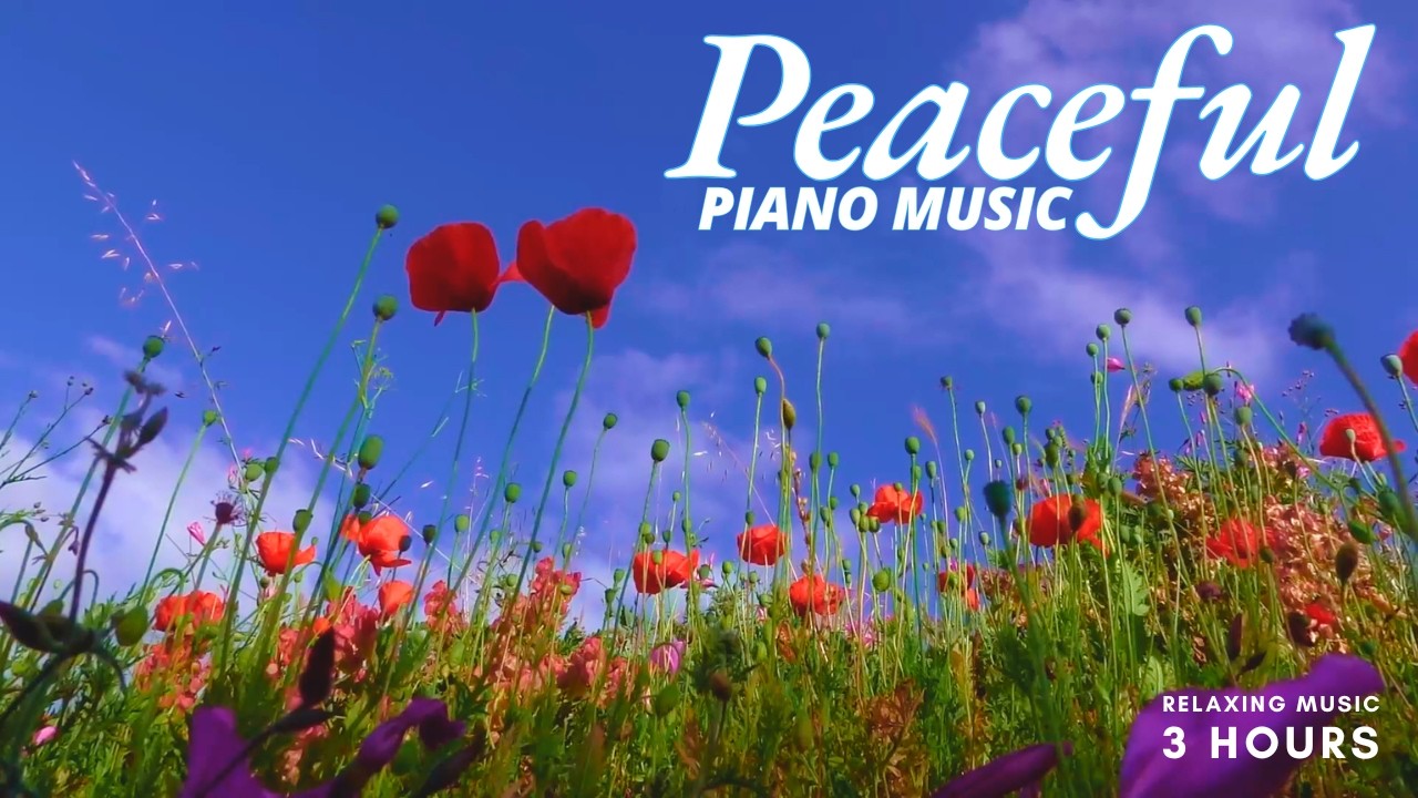 Gentle Piano Music Peaceful Flower Field Scenery