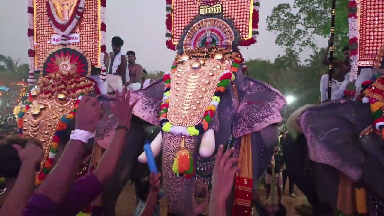 രാജൻ ബാലൻ കാളി ഷോ 💥🤩🔥 എന്തുട്ടാ സെറ്റപ്പ് 